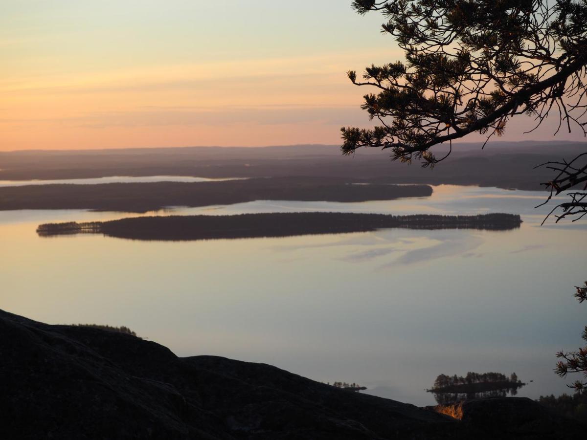 Aava Koli Vila Kolinkylä Exterior foto